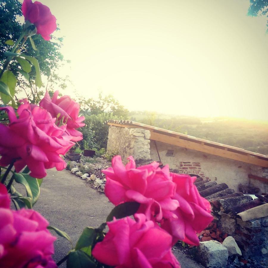 Le Mas Des Papillons Fargues  Exterior photo