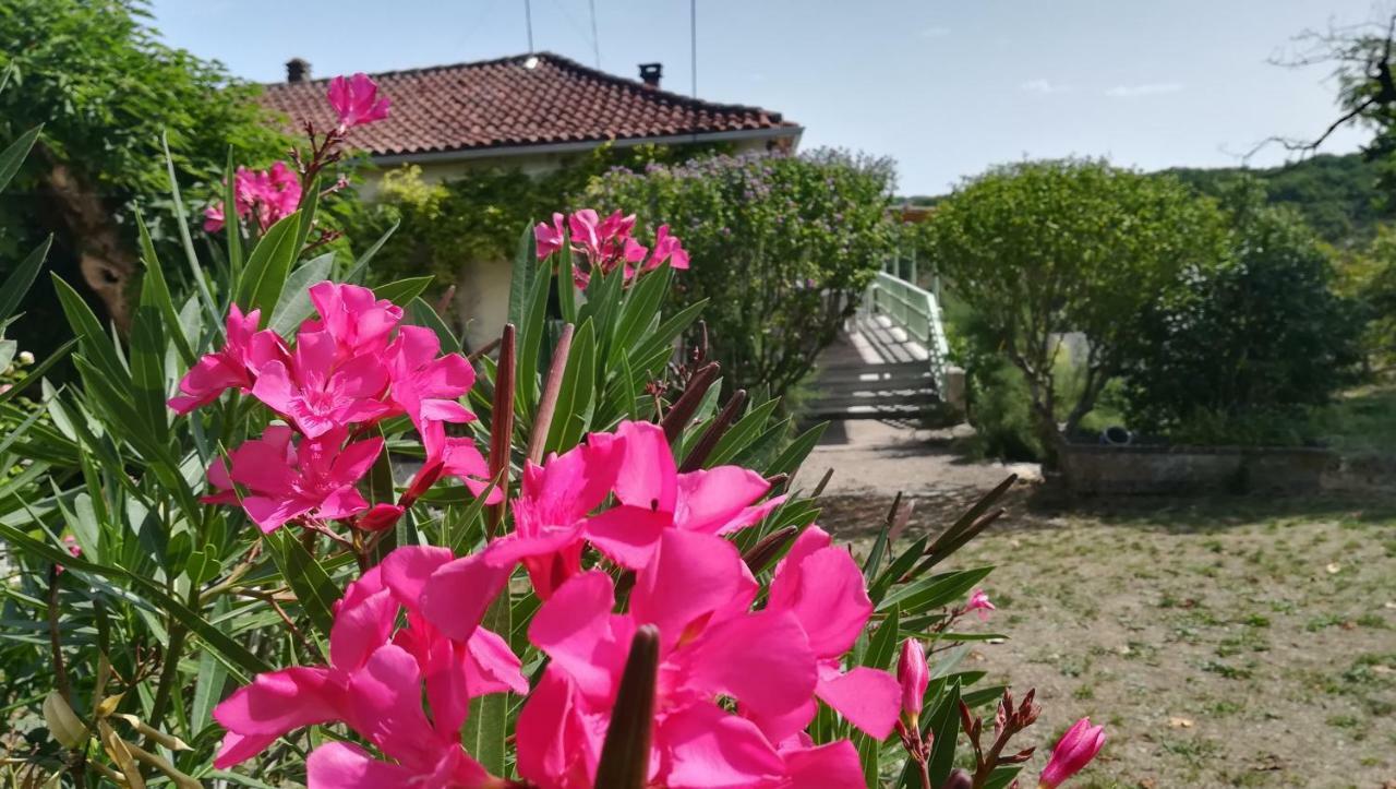 Le Mas Des Papillons Fargues  Exterior photo